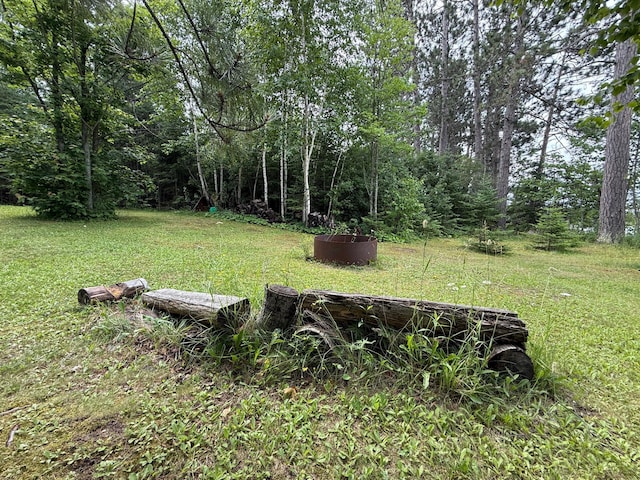 3549 Coe Lake Rd, Makinen, MN 55763 - photo 28
