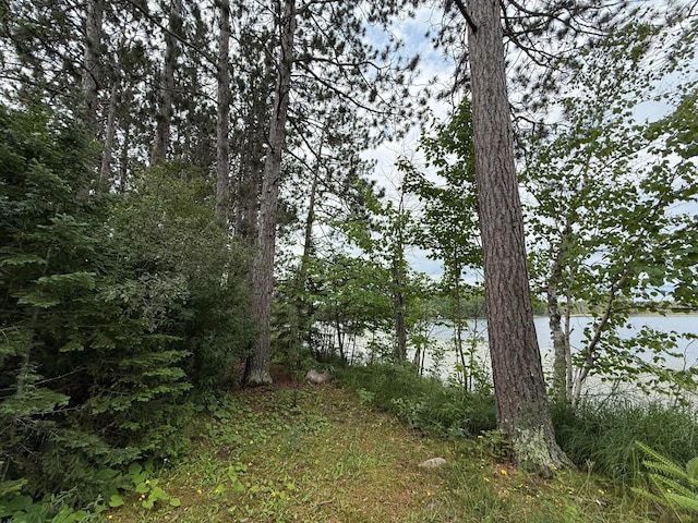 3549 Coe Lake Rd, Makinen, MN 55763 - photo 29