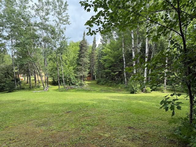 3549 Coe Lake Rd, Makinen, MN 55763 - photo 30