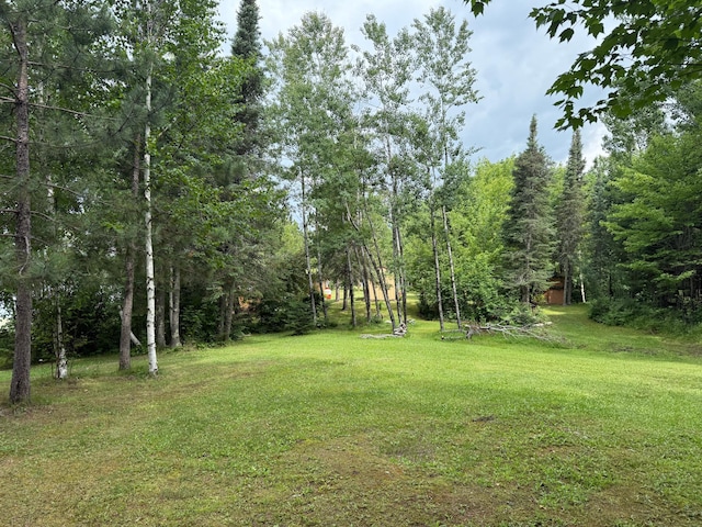 3549 Coe Lake Rd, Makinen, MN 55763 - photo 31