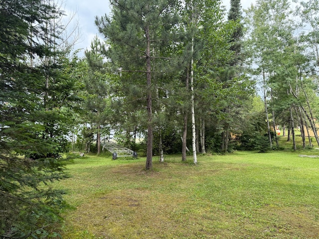 3549 Coe Lake Rd, Makinen, MN 55763 - photo 32