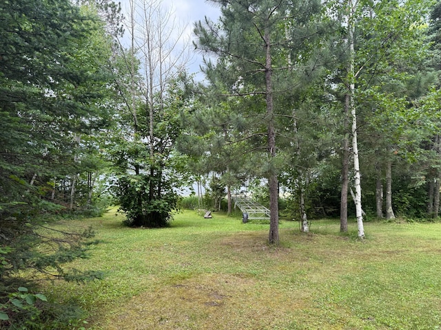 3549 Coe Lake Rd, Makinen, MN 55763 - photo 33