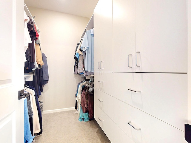 15613 116th Ave N, Dayton, MN 55369 - walk in closet featuring light carpet