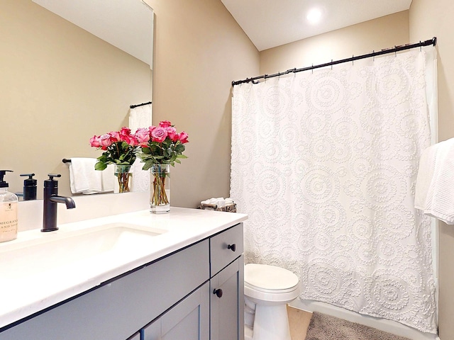 15613 116th Ave N, Dayton, MN 55369 - bathroom with vanity and toilet