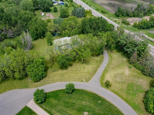7010 Oak Ridge Rd, Corcoran, MN 55340 - photo 54