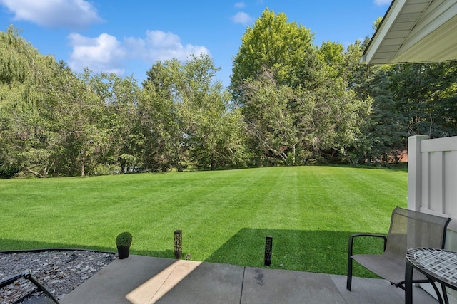 2840 Brewers Ln, Stillwater, MN 55082 - view of green lawn with a patio and view of scattered trees