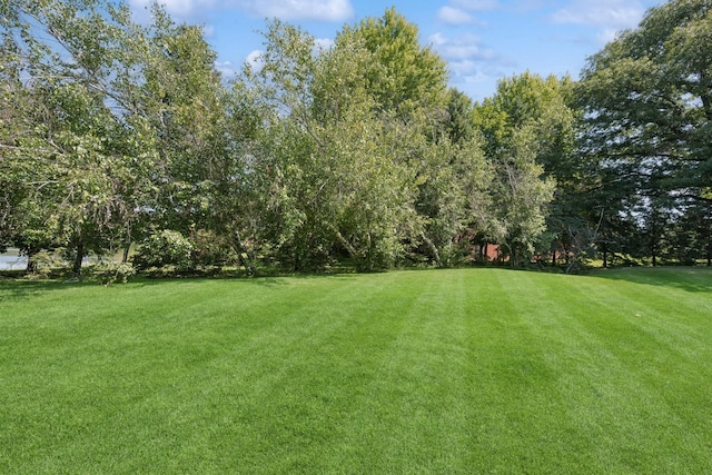 2840 Brewers Ln, Stillwater, MN 55082 - view of grassy yard
