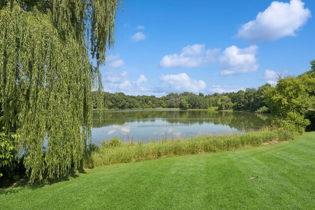 2840 Brewers Ln, Stillwater, MN 55082 - water view with a heavily wooded area