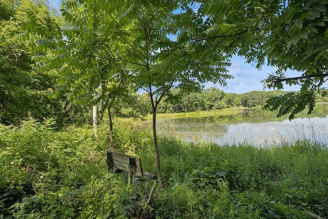 2840 Brewers Ln, Stillwater, MN 55082 - water view featuring a heavily wooded area