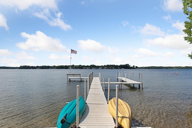 4 1st St, Excelsior, MN 55331 - photo 46