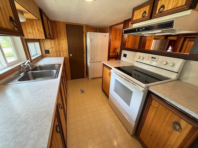 400 Lincoln Ave NW, Fertile, MN 56540 - photo 20
