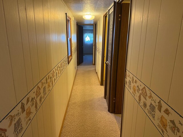 400 Lincoln Ave NW, Fertile, MN 56540 - photo 28
