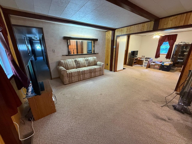 400 Lincoln Ave NW, Fertile, MN 56540 - photo 37
