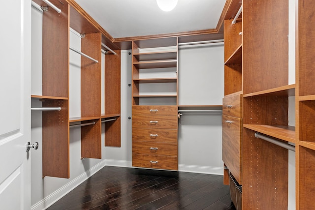 100 3rd Ave S Unit 805, Minneapolis, MN 55401 - spacious closet with dark wood-type flooring