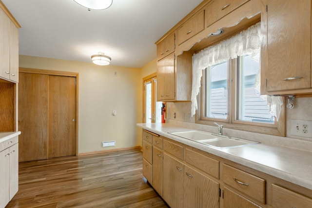 2808 34th Ave NE, Saint Anthony, MN 55418 - kitchen with light countertops and light wood-type flooring