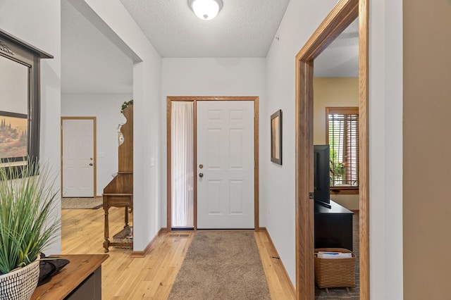 6511 98th Ln N, Brooklyn Park, MN 55445 - foyer with light wood-style floors and a textured ceiling