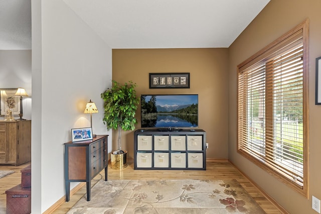 6511 98th Ln N, Brooklyn Park, MN 55445 - living area with wood finished floors and healthy amount of natural light