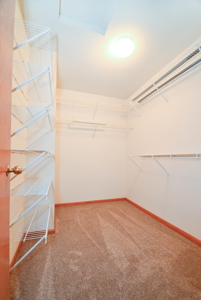 11812 37th St NE, Saint Michael, MN 55376 - spacious closet featuring carpet floors