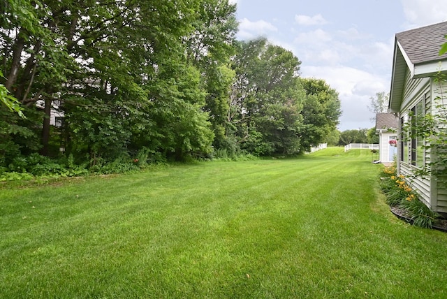 11812 37th St NE, Saint Michael, MN 55376 - view of grassy yard