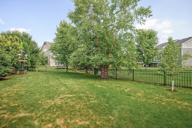16615 54th Ave N, Plymouth, MN 55446 - view of yard