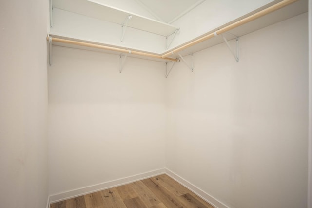 7591 Lake Ida Way NW, Alexandria, MN 56308 - spacious closet featuring light wood-type flooring
