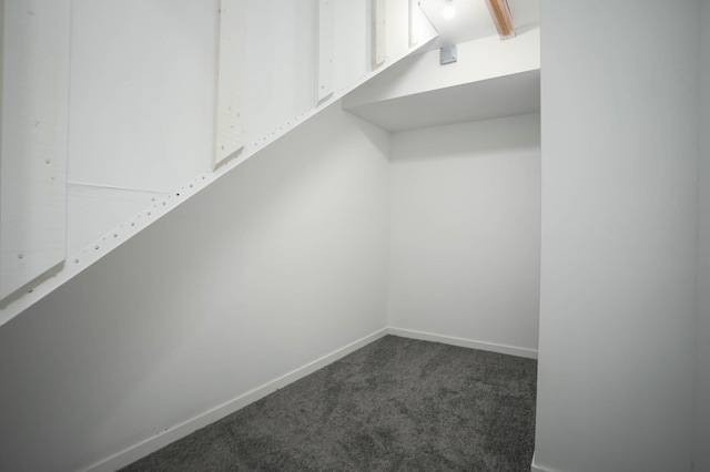 7591 Lake Ida Way NW, Alexandria, MN 56308 - spacious closet featuring carpet floors
