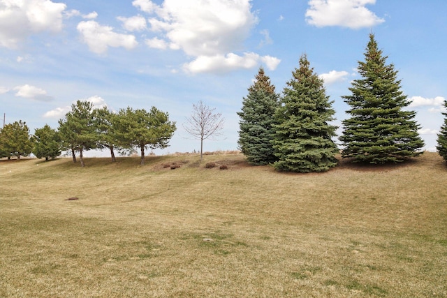 16788 Diamonte Path, Lakeville, MN 55044 - photo 63