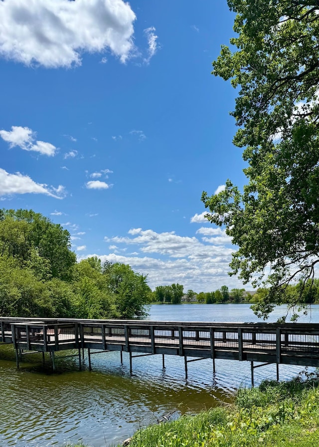 16788 Diamonte Path, Lakeville, MN 55044 - photo 72