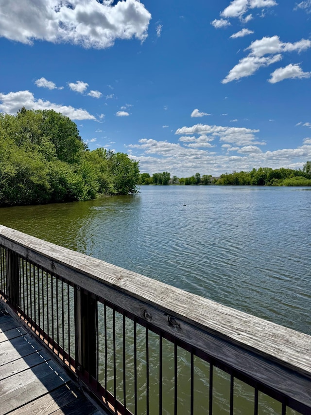 16788 Diamonte Path, Lakeville, MN 55044 - photo 73