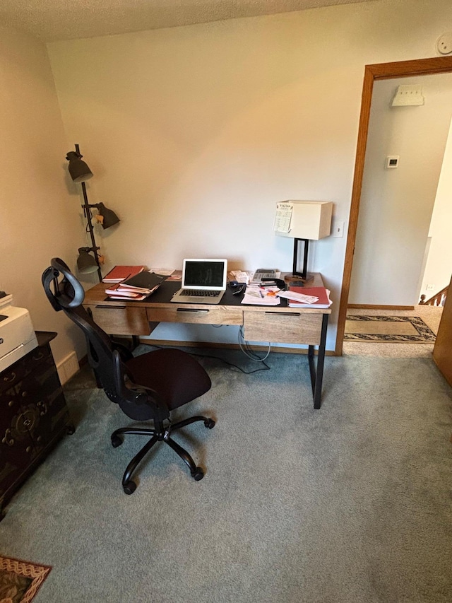 6314 112th Pl N, Champlin, MN 55316 - view of carpeted office