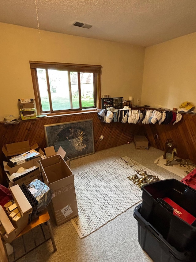 6314 112th Pl N, Champlin, MN 55316 - carpeted bedroom with a textured ceiling