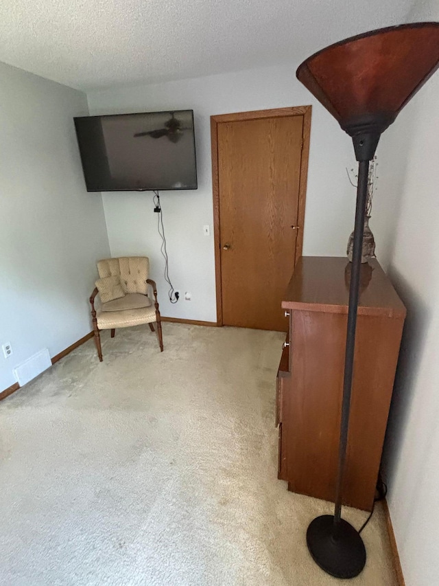 6314 112th Pl N, Champlin, MN 55316 - unfurnished room with light carpet and a textured ceiling