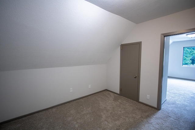 422 Park Ave, Sandstone, MN 55072 - additional living space with carpet floors and vaulted ceiling