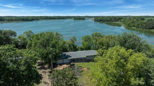 19421 708th Ave, Dassel, MN 55325 - view from above of property with a nearby body of water and a heavily wooded area