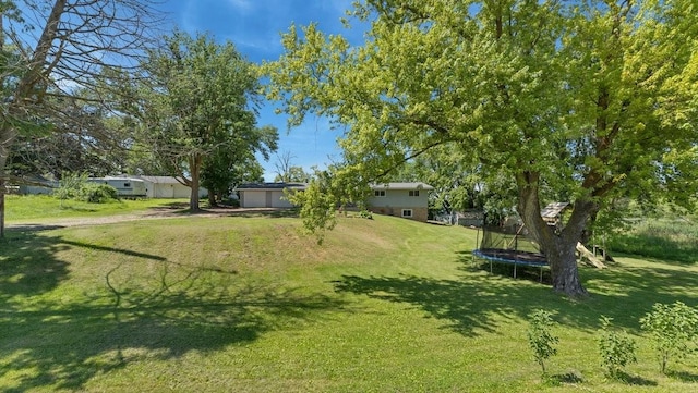 19421 708th Ave, Dassel, MN 55325 - view of green lawn featuring a trampoline