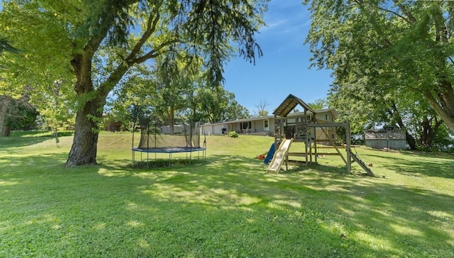 19421 708th Ave, Dassel, MN 55325 - view of green lawn featuring a playground and a trampoline