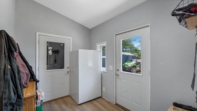 19421 708th Ave, Dassel, MN 55325 - entryway with light wood-style flooring and lofted ceiling