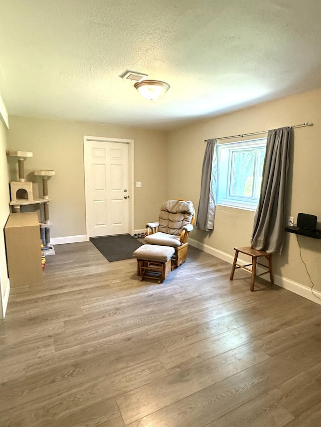 19421 708th Ave, Dassel, MN 55325 - sitting room with wood finished floors and a textured ceiling