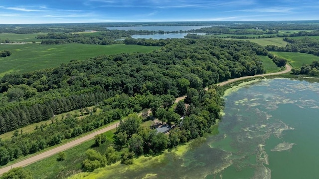 19421 708th Ave, Dassel, MN 55325 - bird's eye view of a nearby body of water and a heavily wooded area