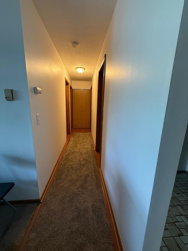8935 Old Cedar Ave S Unit 211, Bloomington, MN 55425 - photo 11