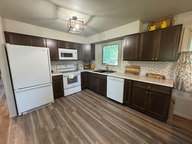 815 6th St N, New Ulm, MN 56073 - kitchen featuring white appliances, dark wood-style flooring, dark brown cabinets, and decorative backsplash