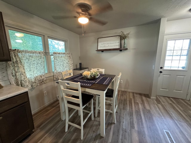 815 6th St N, New Ulm, MN 56073 - dining area featuring wood finished floors, healthy amount of natural light, and a ceiling fan