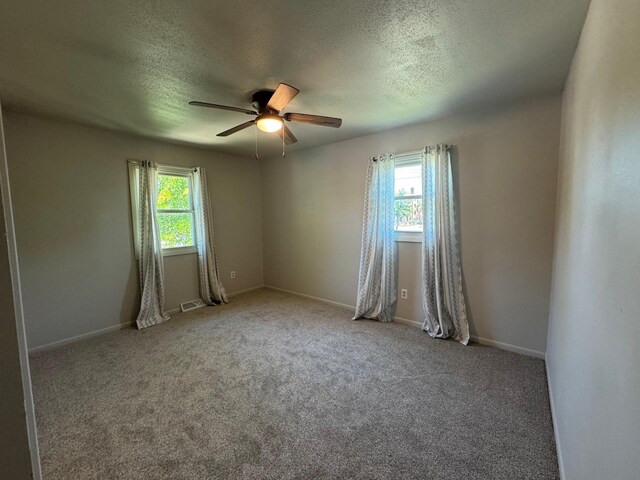 815 6th St N, New Ulm, MN 56073 - empty room featuring healthy amount of natural light, ceiling fan, a textured ceiling, and carpet floors