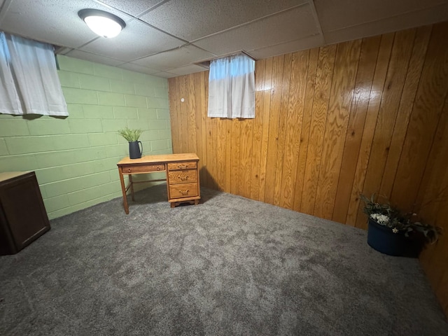 815 6th St N, New Ulm, MN 56073 - carpeted home office featuring concrete block wall, wood walls, and a drop ceiling