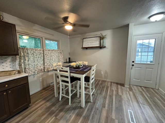 815 6th St N, New Ulm, MN 56073 - dining space featuring a textured ceiling, wood finished floors, and a ceiling fan