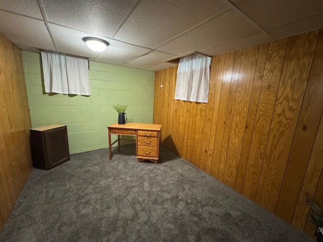 815 6th St N, New Ulm, MN 56073 - carpeted home office with a drop ceiling, concrete block wall, and wood walls