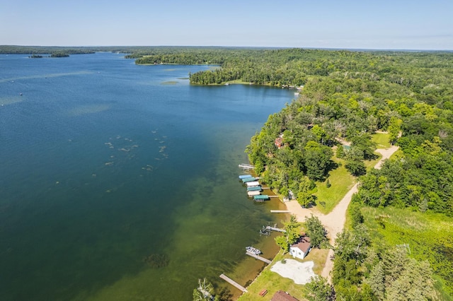 23546 Warbler Way Unit C7, Detroit Lakes, MN 56501 - aerial view of a forest and a nearby body of water