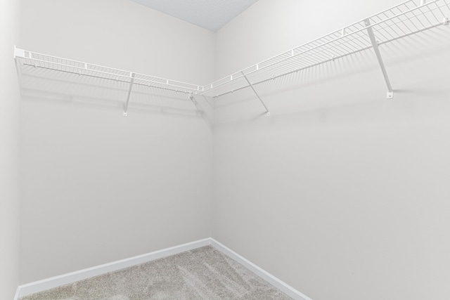 10070 32nd St NE, Saint Michael, MN 55376 - walk in closet with carpet flooring