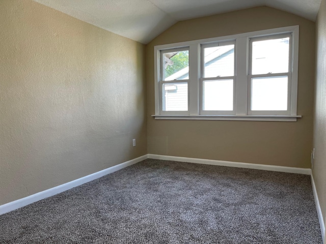 482 Edmund Ave, Saint Paul, MN 55103 - bonus room featuring lofted ceiling, carpet floors, and a textured wall