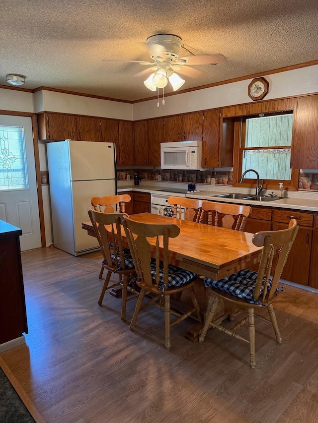 31449 State Highway 92 SE, Trail, MN 56684 - photo 7